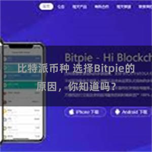 比特派币种 选择Bitpie的原因，你知道吗？