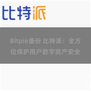 Bitpie备份 比特派：全方位保护用户数字资产安全