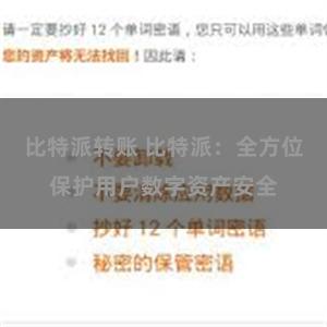 比特派转账 比特派：全方位保护用户数字资产安全