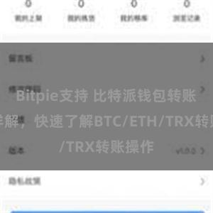 Bitpie支持 比特派钱包转账教程详解，快速了解BTC/ETH/TRX转账操作