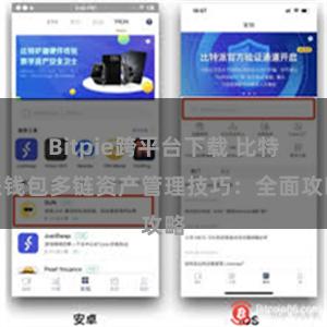 Bitpie跨平台下载 比特派钱包多链资产管理技巧：全面攻略