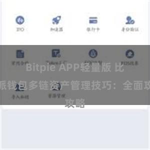 Bitpie APP轻量版 比特派钱包多链资产管理技巧：全面攻略