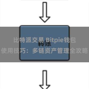 比特派交易 Bitpie钱包使用技巧：多链资产管理全攻略