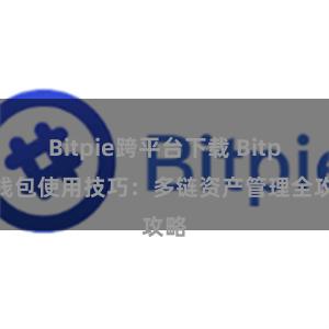 Bitpie跨平台下载 Bitpie钱包使用技巧：多链资产管理全攻略