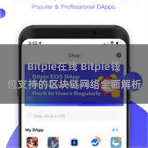 Bitpie在线 Bitpie钱包支持的区块链网络全面解析