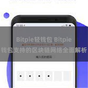 Bitpie轻钱包 Bitpie钱包支持的区块链网络全面解析