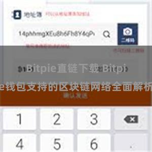 Bitpie直链下载 Bitpie钱包支持的区块链网络全面解析