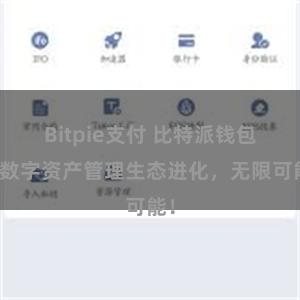 Bitpie支付 比特派钱包：数字资产管理生态进化，无限可能！