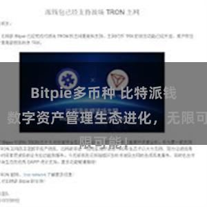 Bitpie多币种 比特派钱包：数字资产管理生态进化，无限可能！