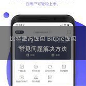 比特派热钱包 Bitpie钱包常见问题解决方法