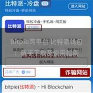 Bitpie跨平台 比特派钱包：新手下载及使用指南