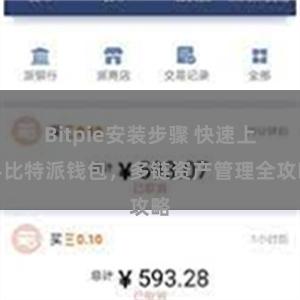 Bitpie安装步骤 快速上手比特派钱包，多链资产管理全攻略