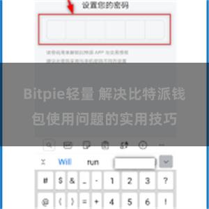 Bitpie轻量 解决比特派钱包使用问题的实用技巧