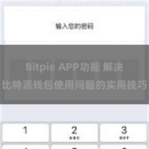 Bitpie APP功能 解决比特派钱包使用问题的实用技巧