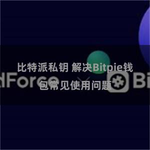 比特派私钥 解决Bitpie钱包常见使用问题