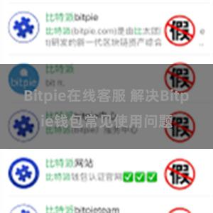 Bitpie在线客服 解决Bitpie钱包常见使用问题