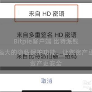 Bitpie客户端 比特派钱包：强大的隐私保护功能，让您资产更安全