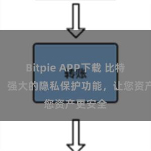 Bitpie APP下载 比特派钱包：强大的隐私保护功能，让您资产更安全