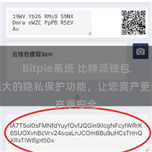 Bitpie系统 比特派钱包：强大的隐私保护功能，让您资产更安全