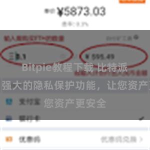 Bitpie教程下载 比特派钱包：强大的隐私保护功能，让您资产更安全