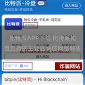 比特派APP下载 比特派钱包支持的主要区块链网络解析