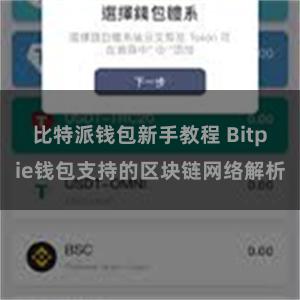 比特派钱包新手教程 Bitpie钱包支持的区块链网络解析