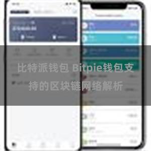 比特派钱包 Bitpie钱包支持的区块链网络解析