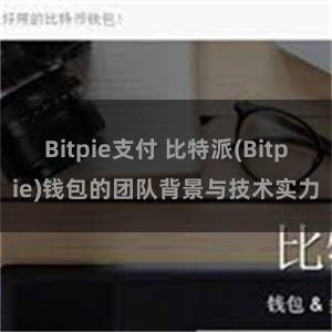 Bitpie支付 比特派(Bitpie)钱包的团队背景与技术实力