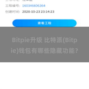 Bitpie升级 比特派(Bitpie)钱包有哪些隐藏功能？