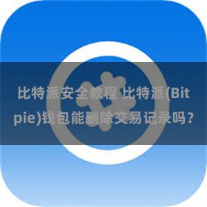 比特派安全教程 比特派(Bitpie)钱包能删除交易记录吗？