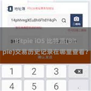 Bitpie iOS 比特派(Bitpie)交易历史记录在哪里查看？