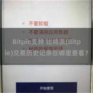 Bitpie支持 比特派(Bitpie)交易历史记录在哪里查看？