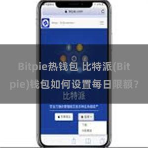 Bitpie热钱包 比特派(Bitpie)钱包如何设置每日限额？