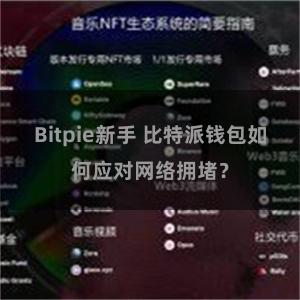 Bitpie新手 比特派钱包如何应对网络拥堵？