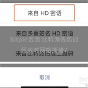 Bitpie资源 比特派钱包如何应对网络拥堵？