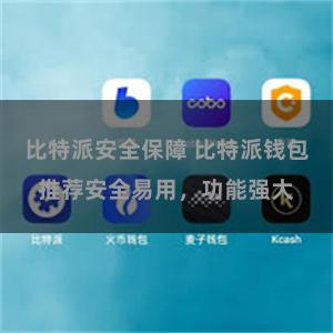 比特派安全保障 比特派钱包推荐安全易用，功能强大