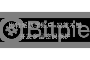 比特派数字账户  况兼不错开发多层密码保护