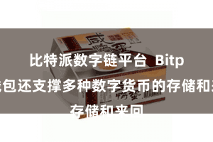比特派数字链平台  Bitpie钱包还支撑多种数字货币的存储和来回